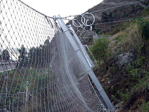 被動(dòng)防護(hù)網(wǎng)圖片2